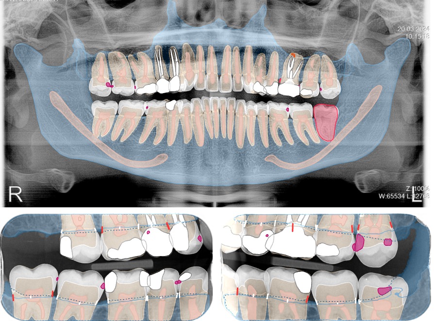 Senyum výsledek online diagnostiky